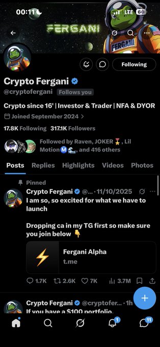 A mobile screenshot of the X (formerly Twitter) profile for "Crypto Fergani" (@cryptofergani), which has 317.1K followers, displaying a pinned post about a "Fergani Alpha" Telegram launch.