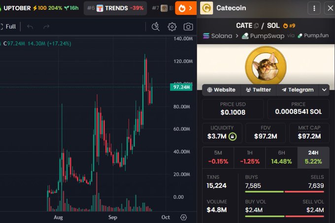 A crypto trading chart shows Catecoin (CATE/SOL) on PumpSwap with a price of $0.1008, market cap of $97.2M, and a 24H change of +5.22%.