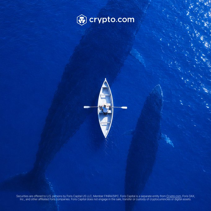 An aerial view shows a lone rower in a small boat dwarfed by two massive whales swimming beneath the deep blue surface, with the "crypto.com" logo at the top. This striking visual metaphor illustrates the concept of "Whale Baskets," representing how everyday investors navigate alongside market giants like Buffett and Gates, whose disclosed portfolios can now be explored and invested in through the Crypto.com App.