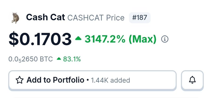 A cryptocurrency price tracker displays 'Cash Cat CASHCAT Price' ranked #187, showing a value of $0.1703 with a 3147.2% increase (Max) and 0.052650 BTC, including an 'Add to Portfolio' button with 1.44K added.