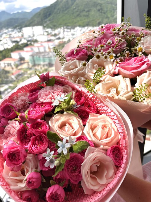 Two bouquets of pink, white, and red roses with small white flowers held up against a background view of a city and mountains.