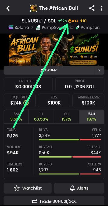 A screenshot of the "The African Bull" memecoin (SUNUSI/SOL) page showing it's ranked #14 on the DEX with a $100K market cap, $24K liquidity, and a strong 197% gain over 24 hours, highlighting its ranking in green to emphasize its top-trending status on DEX Screener.