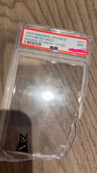The image shows an empty PSA-graded graded card slab labeled "2003 POKEMON JAPANESE SUICUNE EX-HOLO MAGMA VS AQUA-1ST ED #027 MINT 9," with a small black cat figurine sitting in the empty case. The contrast between the empty slab (valued for its rarity despite holding nothing) mirrors the post's commentary on how people assign value to things like #STEPN tokens and cryptocurrency.