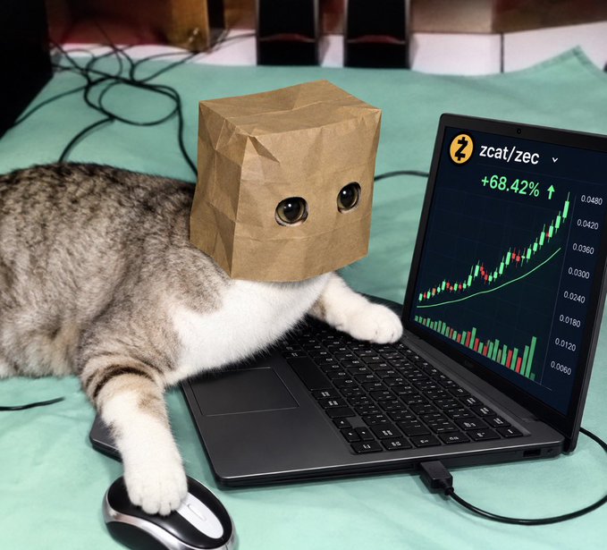 A cat with a brown paper bag over its head lounges on a laptop keyboard, its paw resting on a computer mouse, while the screen displays a Zcash ($zec) chart showing a +68.42% gain alongside the "$zcat/zec" ticker. The image humorously personifies a "degen" trader joyfully watching their Zec and Zcat holdings soar, matching the post's excitement about the crypto's massive upward movement.