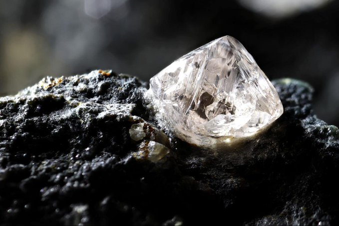 A clear, raw diamond crystal rests on dark, rough rock, symbolizing lasting value and quality—just as the post suggests holding quality assets like $TEL for the long term rather than selling.