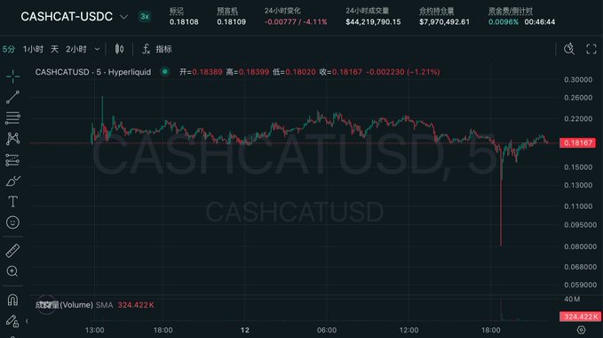 The image shows a 5-minute candlestick chart for CASHCAT/USD on Hyperliquid, with the token trading around $0.18167 (-1.21% over 24h) and showing a dramatic wick down to roughly $0.095 before recovering. This visualizes the post's excitement about a leveraged CASHCAT position getting liquidated ("plugged"), referencing the sharp price drop visible on the chart that triggered the position's closure.