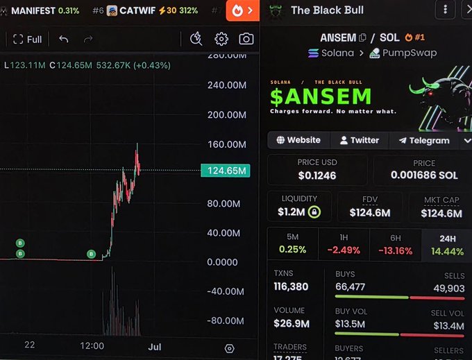 The image shows a trading chart of the memecoin $ANSEM (with a $124.6M market cap on Solana via PumpSwap) and the ticker $CATWIF (Manifest), supporting the post's claim of calling the token early before it surged over 300x.