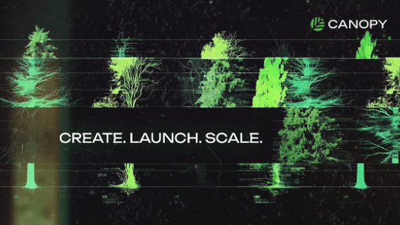 A promotional graphic for Canopy (CNPYNetwork) features stylized green trees with visible root systems against a dark background, accompanied by the bold text "CREATE. LAUNCH. SCALE." and the Canopy logo. The imagery of deeply rooted trees visually reinforces the post's message about building sovereign, full-control blockchain infrastructure with strong foundational support for long-term growth and scalability.