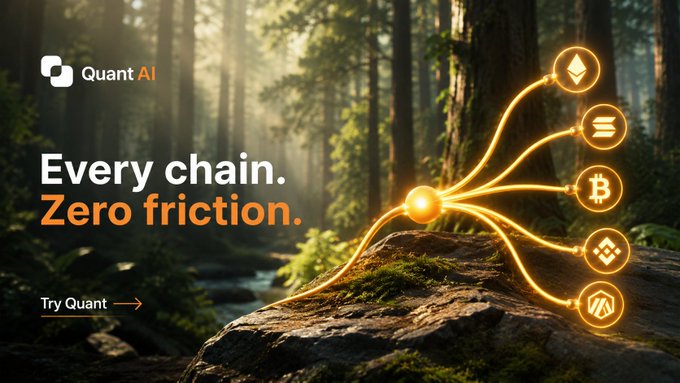 An advertisement for Quant AI with the slogan 'Every chain. Zero friction.' featuring cryptocurrency logos (Ethereum, Solana, Bitcoin, BNB, AVAX) connected by golden light trails in a forest setting.