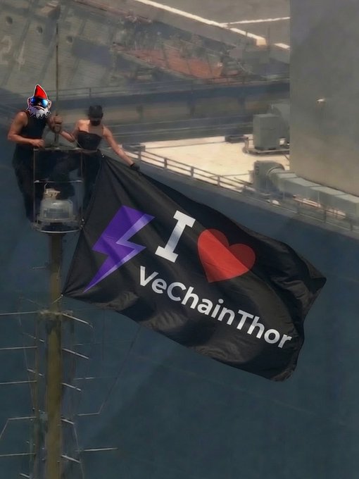 A person wearing a blue cat mask holds a black flag reading 'I ❤️ VeChainThor' with a purple VeChain logo, displayed on a ship's mast overlooking a harbor.
