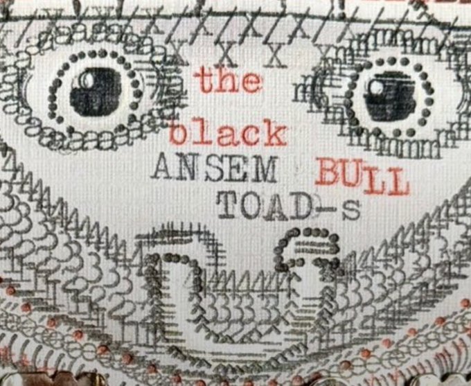 An embroidered cross-stitch artwork on fabric displaying the text 'the black ANSEM BULL TOAD-s' in red and black lettering, featuring toad-like figures.
