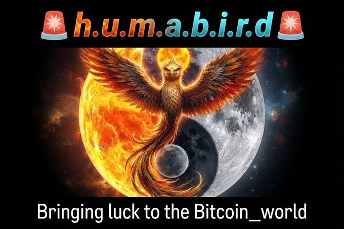 A promotional image for the meme coin "$HUMABIRD" features the token's ticker displayed at the top between two siren emojis, with a central illustration of a fiery phoenix rising in front of overlapping sun and moon graphics, and the tagline "Bringing luck to the Bitcoin_world" at the bottom. The dramatic phoenix imagery reinforces the post's message about the coin "taking off" and building momentum within the meme coin community.