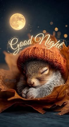 An illustration of a sleeping baby squirrel wearing an orange knitted hat, nestled in autumn leaves with a moon in the background and 'Good Night' written in cursive text.