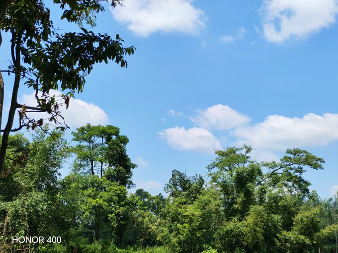 A nature photo of green trees against a blue sky with scattered clouds, watermarked 'HONOR 400' in the corner.