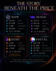An infographic titled 'THE STORY BENEATH THE PRICE' compares meme stocks and cryptocurrencies including SXPR, $LOAN, SXMT, and $METAL, showing market cap, holders, and price changes.