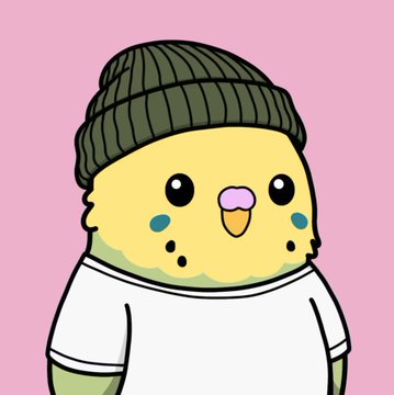 A cartoon illustration of a yellow chick character wearing an olive green beanie and white shirt against a pink background.
