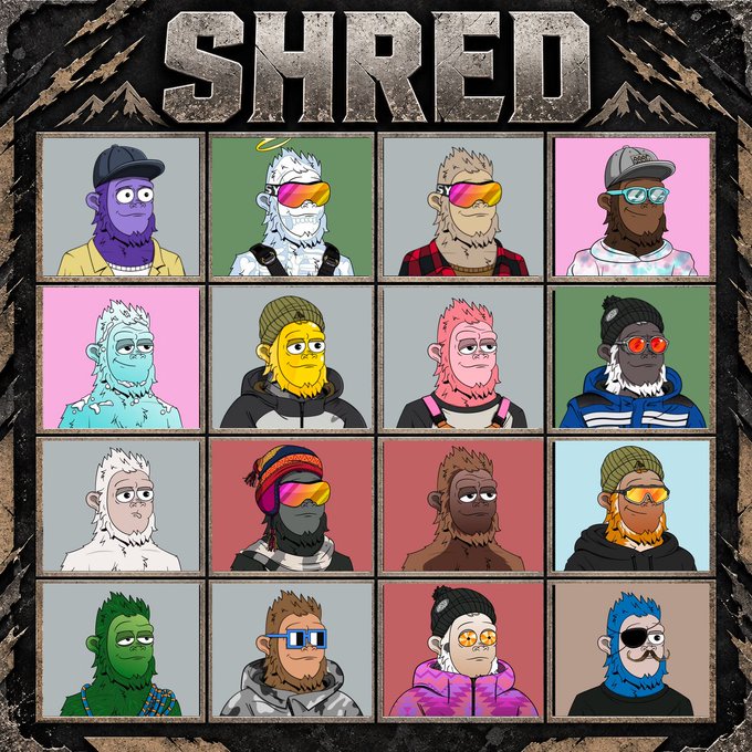 A grid titled 'SHRED' displaying 16 different cartoon monkey or ape characters with various hairstyles, beards, hats, and sunglasses in a colorful NFT-style artwork.