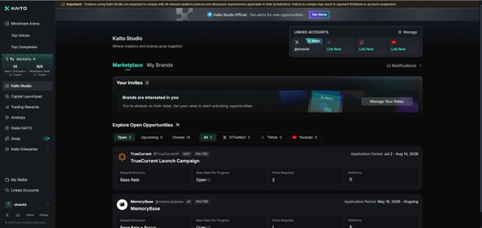 Screenshot of the Kaito Studio dashboard showing the Marketplace with campaigns like 'TrueCurrent Launch Campaign' and 'MemoryBase' listed as open opportunities.