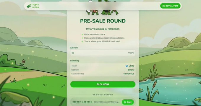 A screenshot of a "PRE-SALE ROUND" page for "Crypto Turtles" showing a purchase amount of "50 USDC" with a "BUY NOW" button and a Solana deposit address listed below.