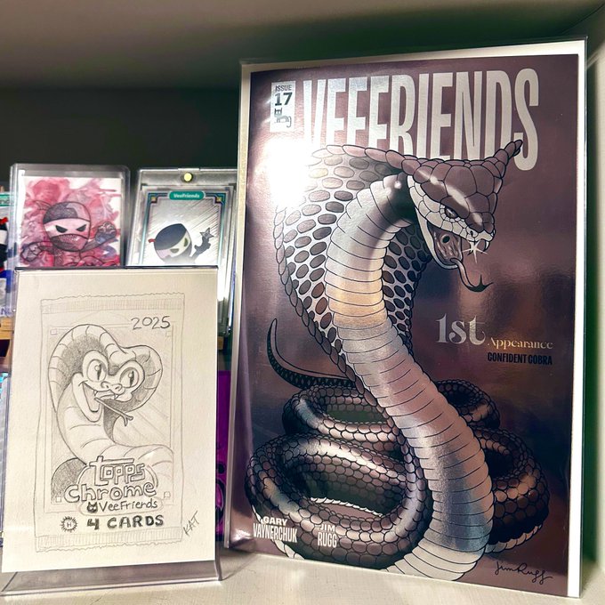 The image features a book titled "@veefriends" with a snake illustration, along with another book that has a drawing of a cat. The books are displayed together on a shelf or table, possibly for sale at a bookstore. The caption below the image reads, "What an incredible journey it's been since I joined the @veefriends community April 2025! I'm loving this @jimruggart cover!".