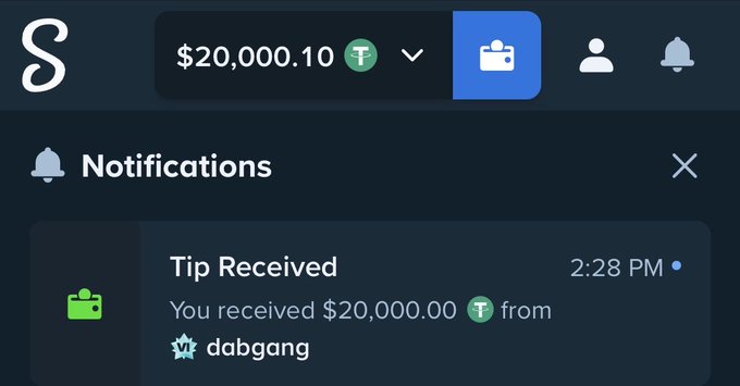 The image shows a Stake.com notifications panel displaying a "Tip Received" alert for $20,000.00 in Tether (₮) from a user named "dabgang" at 2:28 PM, supporting the claim of a massive crypto tip received on the platform.