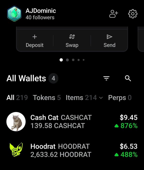 Screenshot of a crypto wallet app (AJDominic, 40 followers) showing token holdings including Cash Cat (CASHCAT) at $9.45 (+876%) and Hoodrat (HOODRAT) at $6.53 (+488%).