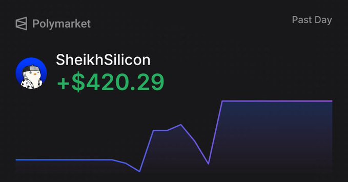 A Polymarket profit tracking screen showing user 'SheikhSilicon' with a gain of +$420.29 over the past day, displayed with a blue line chart trending upward.