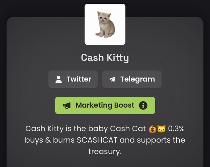 Crypto project profile page for 'Cash Kitty' featuring a kitten image, links to Twitter and Telegram, a 'Marketing Boost' button, and a description stating 'Cash Kitty is the baby Cash Cat buys & burns $CASHCAT and supports the treasury.'