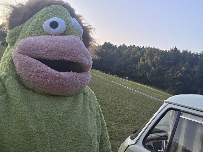 A person in a green frog costume with large purple lips and googly eyes standing next to a car in a grassy field with trees in the background.