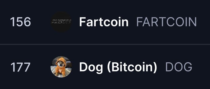 A list displays '156 Fartcoin FARTCOIN' and '177 Dog (Bitcoin) DOG' with respective logos on a dark background.
