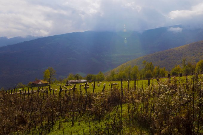 Sunlight streams through clouds over a mountainous landscape as a simple wooden post fence separates a wild, overgrown foreground from a tranquil green pasture where a flock of sheep grazes peacefully near a small building. The scene captures the quiet harmony described in the post, where a humble fence marks the meeting point between untamed nature and the carefully tended land where the flock lives.