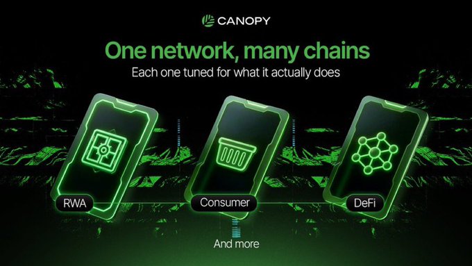 A promotional graphic for Canopy reading 'One network, many chains - Each one tuned for what it actually does,' showing three phone icons labeled RWA, Consumer, and DeFi.