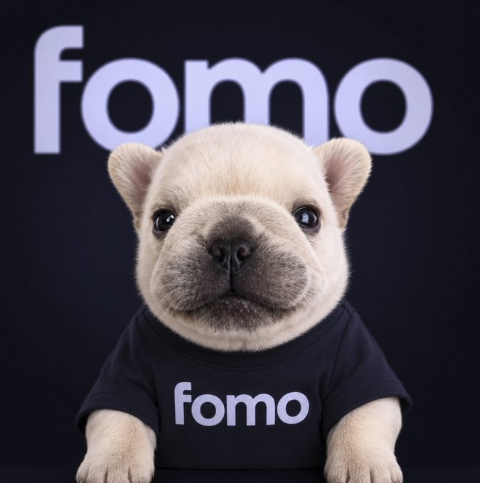 An image of a white French Bulldog puppy wearing a black t-shirt with the word "fomo" on it, set against a dark background with large "fomo" text behind it.