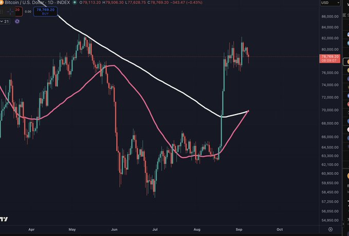 A Bitcoin/USD trading chart on the INDEX showing a price of 79,113.20 with a -0.43% change, featuring candlestick patterns and moving averages over a timeline from April to October.