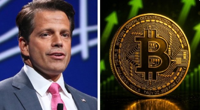The image is a split composition showing Anthony Scaramucci in a dark suit with a pink tie on the left, alongside a large gold Bitcoin coin with upward-trending green arrows on the right, visually reinforcing the post's message about his bullish $1.5 million long-term Bitcoin price target tied to gold's market cap.