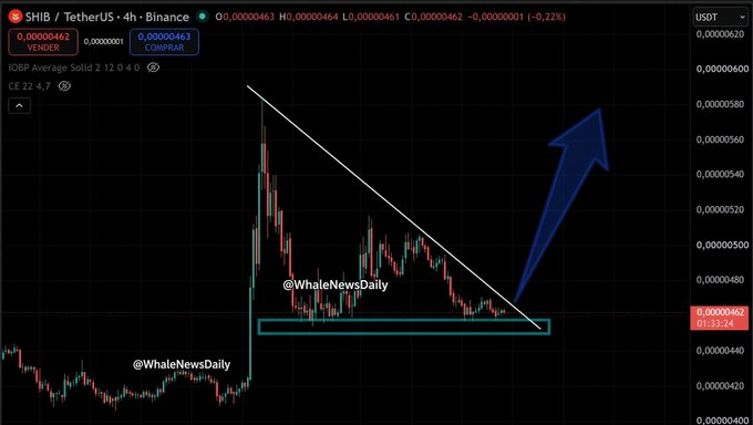 A 4-hour Binance chart of SHIB/USDT shows price at $0.00000462 sitting on a highlighted support zone after breaking a descending trendline, with a large blue arrow projecting a sharp upward move and the watermark "@WhaleNewsDaily" displayed across it.