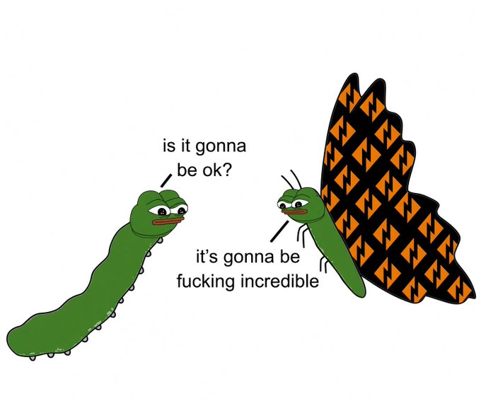 A cartoon meme with two green caterpillars, where the plain one asks 'is it gonna be ok?' and the one with black and orange lightning bolt-patterned wings responds 'it's gonna be fucking incredible'.