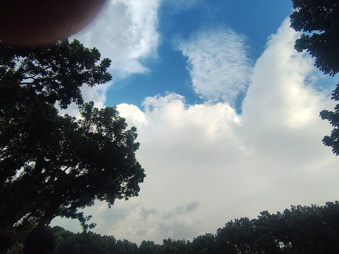 A bright afternoon sky filled with fluffy white clouds frames the silhouette of lush green trees, capturing a peaceful break from the market. The serene outdoor view perfectly complements a moment of relaxation while catching up on Web3 news and checking the market.