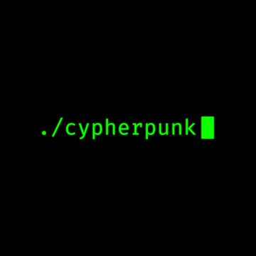 A black screen displays the text "./cypherpunk" in green terminal-style font with a green block cursor, evoking a command-line aesthetic. The graphic visually references Cypherpunk Technologies, the company highlighted in the post for significantly expanding its Zcash (ZEC) holdings to 323,394 ZEC in Q2.