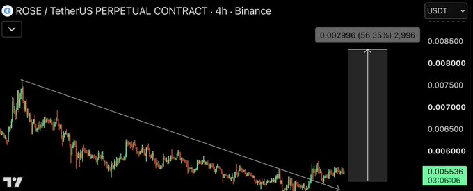 A 4-hour Binance chart of the ROSE/USDT perpetual contract displays a long position entry at 0.002996, with a projected 56.35% upside target marked by a vertical arrow extending upward from a descending trendline support level near 0.005536.