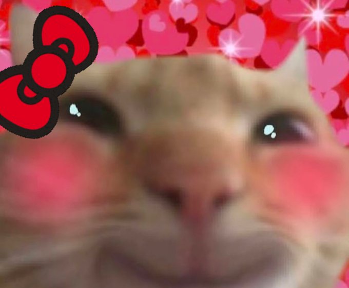 A close-up, filtered image of an orange tabby cat with bright, teary eyes and rosy blushing cheeks, wearing a digital red Hello Kitty bow and surrounded by a pink heart background — the image references the "$kitty" token mentioned in the post, as the cat appears styled to evoke Hello Kitty branding.