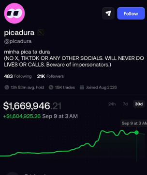 A social media profile for user 'picadura' (@picadura) shows a portfolio balance of $1,669,946.21, with the bio stating 'minha pica ta dura' and a warning about impersonators.