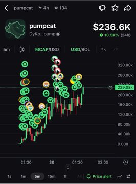 A mobile trading app screenshot shows the 'pumpcat' token (DyKo_pump) on MCAP/USD with a market cap of $236.6K, displaying a candlestick chart with a 10.01% gain over 24 hours.