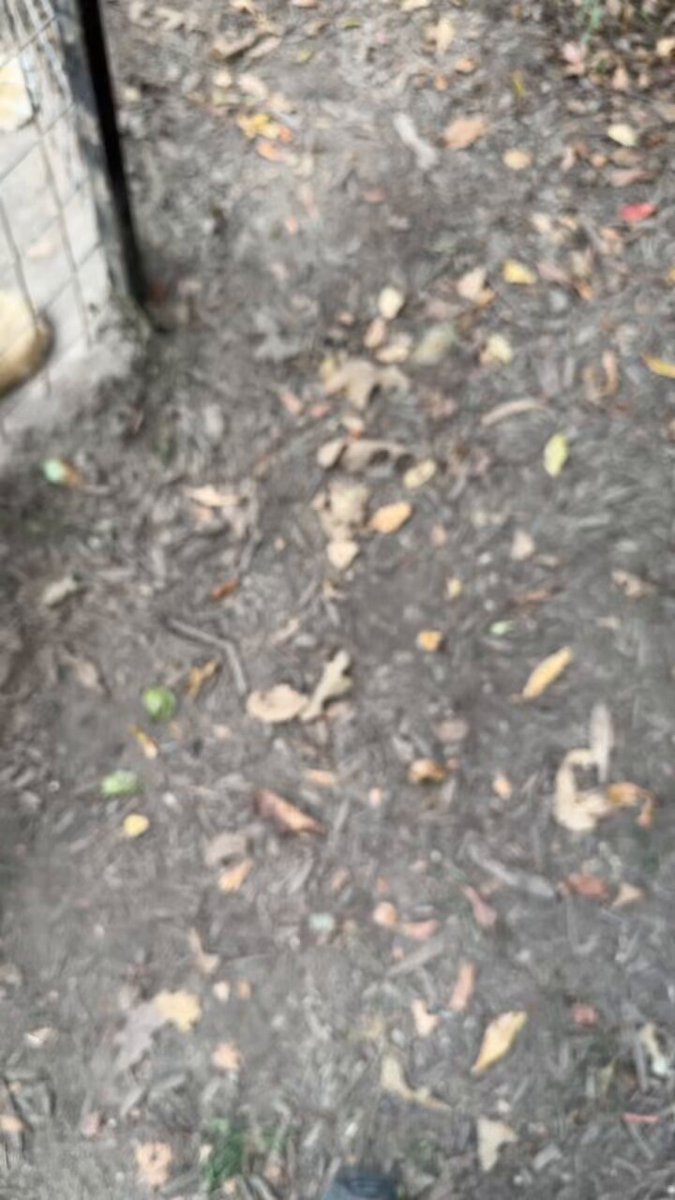 None