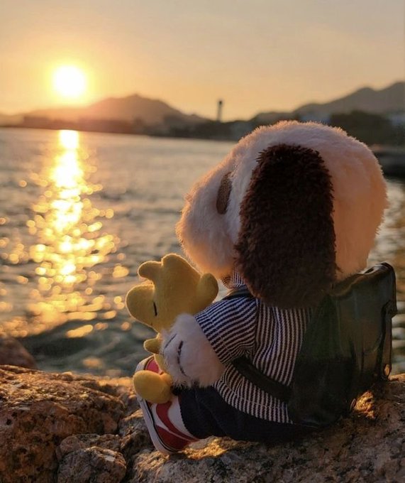 A small plush puppy sits on a rocky shore at sunset, gazing out over the glistening water with a tiny yellow toy tucked under its arm, embodying the quiet perseverance of a journey just begun. The warm golden light and solitary figure reflect the post's message that every meaningful journey starts with one step—and the courage to keep going.