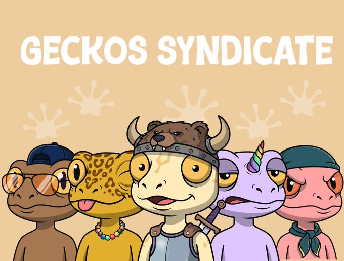The image features a group of five cartoon geckos standing next to each other against an orange background. The text "Geckos Syncdicate" is written above them, indicating that they are part of a special collection or series. The geckos have various unique traits and styles, making them stand out as a distinct group.