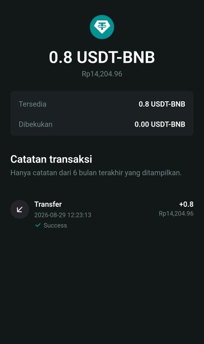 A cryptocurrency wallet screen displays a balance of 0.8 USDT-BNB worth Rp14,204.96, showing a successful Transfer transaction dated 2026-08-29.