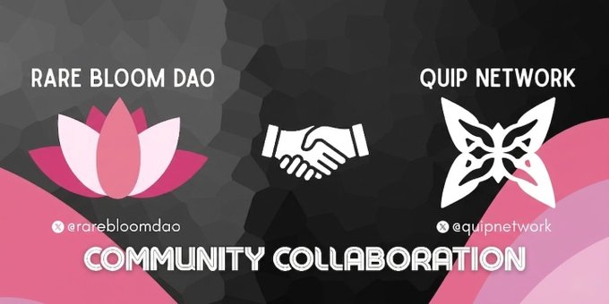 The image features a poster or banner that displays three different symbols, including a butterfly, handshake, and lotus flower, all set against a black background. The text "Rare Bloom Dao" is written at the top of the poster, while "Quip Network" is located below it. Below these, there are two more symbols: a butterfly and a handshake. The image also includes a small logo that reads "Equality network".