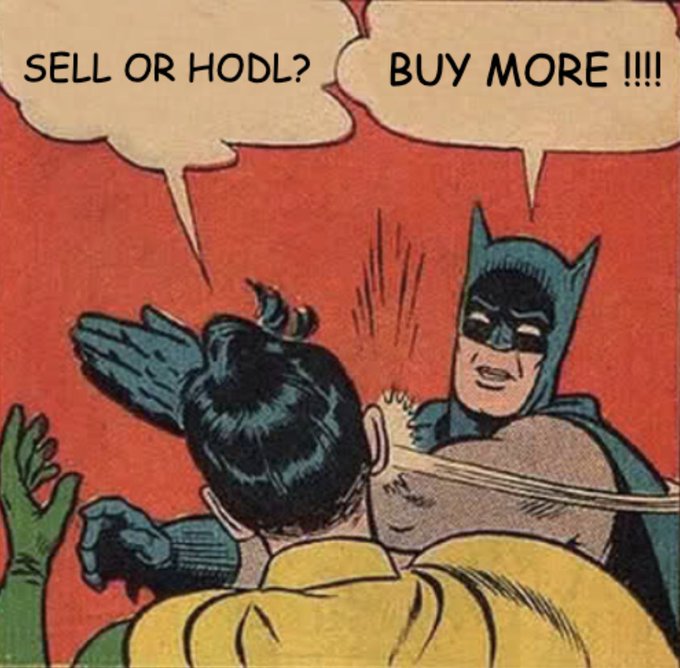 A Batman comic panel meme where Batman slaps Robin, with speech bubbles reading 'SELL OR HODL?' from Robin and 'BUY MORE !!!!' from Batman, referencing cryptocurrency investing.
