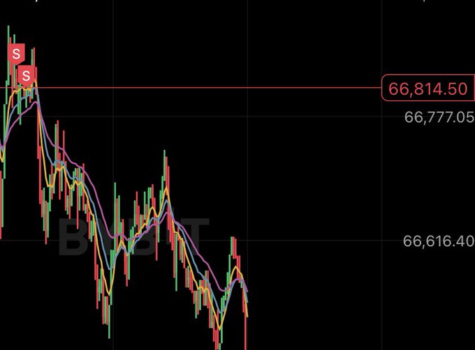 A candlestick chart showing BTC (Bitcoin) prices in clear downtrend action, with key price levels marked at 66,814.50, 66,777.05, and 66,616.40, alongside two "S" sell signals. The image illustrates the "easy mode market" post by depicting straightforward bearish selling opportunities, suggesting profits were easily captured as price steadily declined.